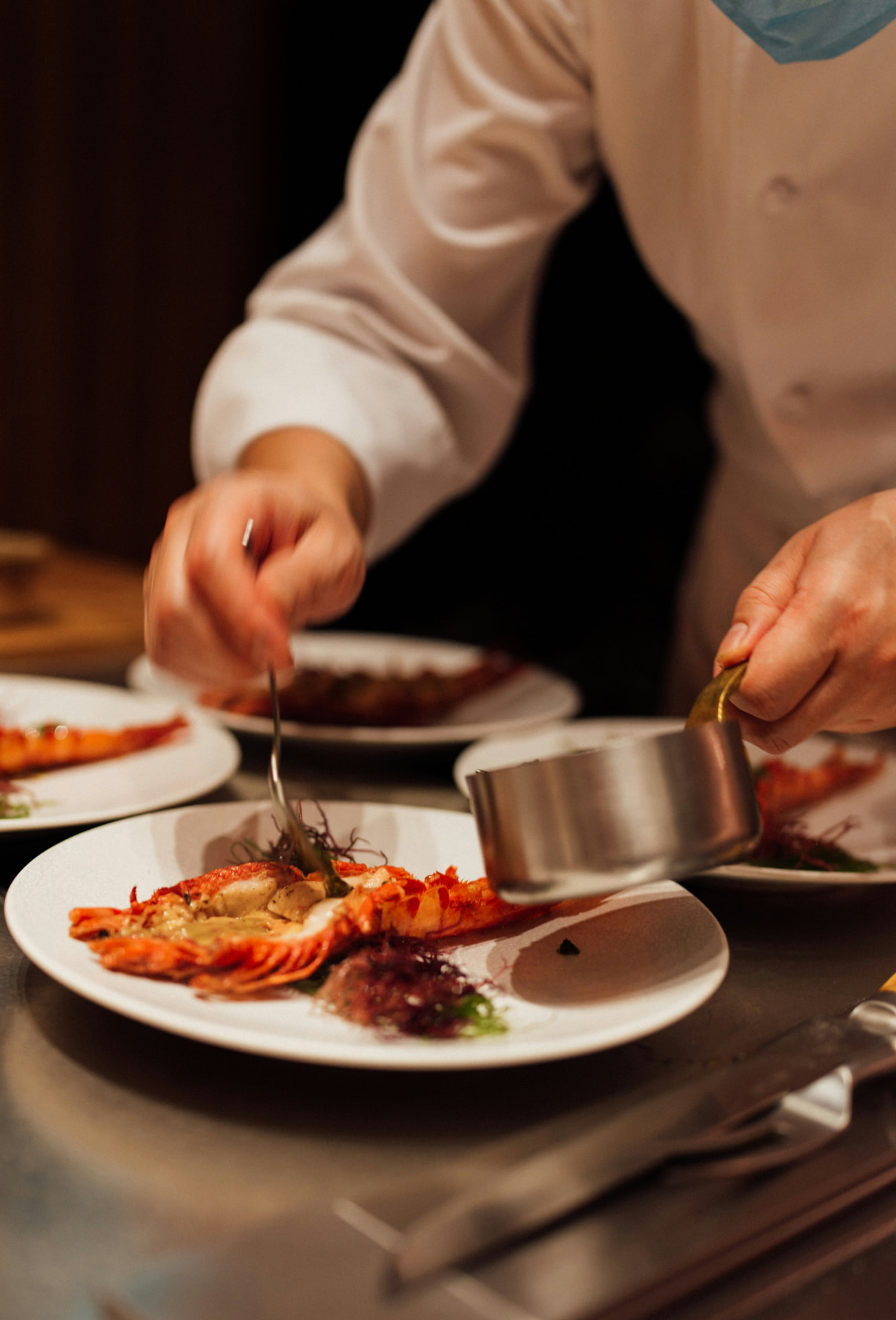 A chef plating grilled langoustine